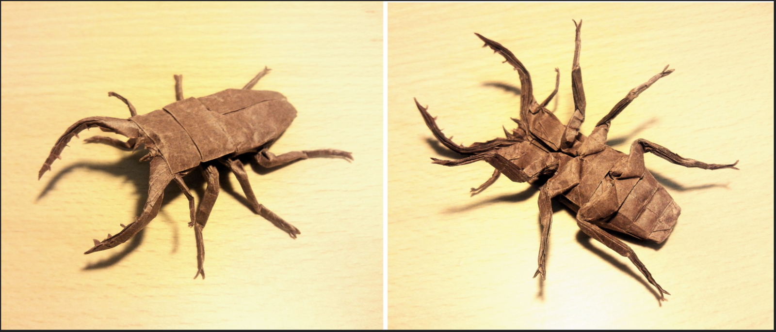 Sawtooth Stag Beetle v2