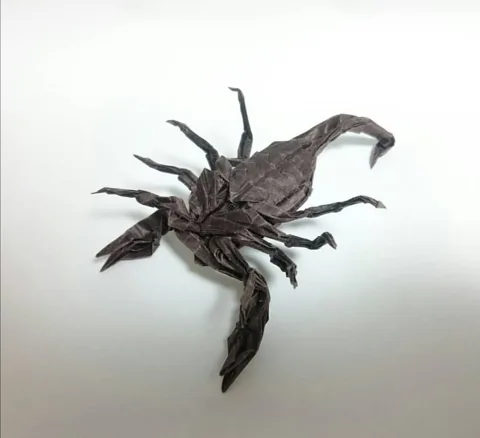 Scorpion v3.0