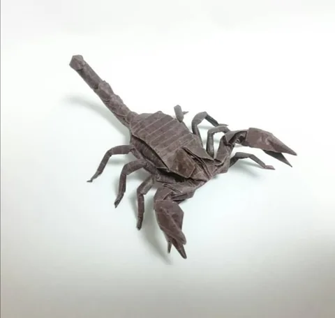 Scorpion v3.0