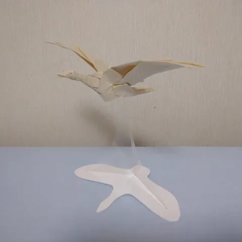 Seagull