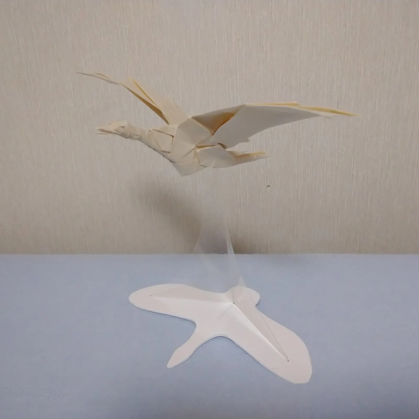 Seagull