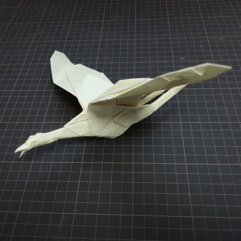 Seagull