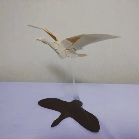 Seagull
