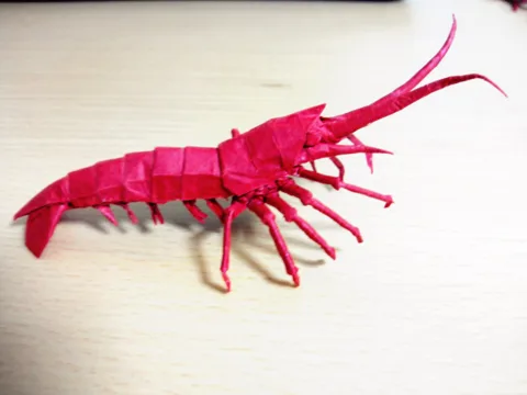 Shrimp v1 (PD)
