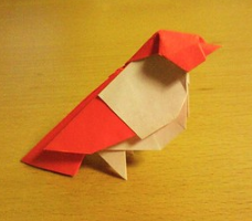 Small bird