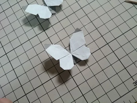 Small white butterfly v2