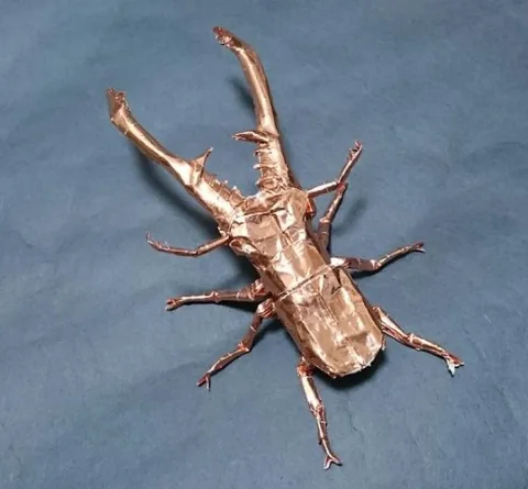 Stag Beetle (PD) Cyclommatus Metallifier