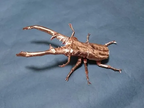 Stag Beetle (PD) Cyclommatus Metallifier