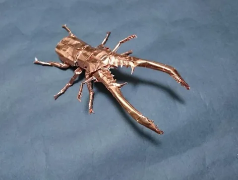 Stag Beetle (PD) Cyclommatus Metallifier