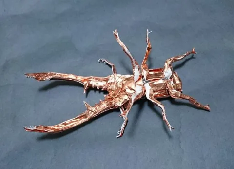 Stag Beetle (PD) Cyclommatus Metallifier