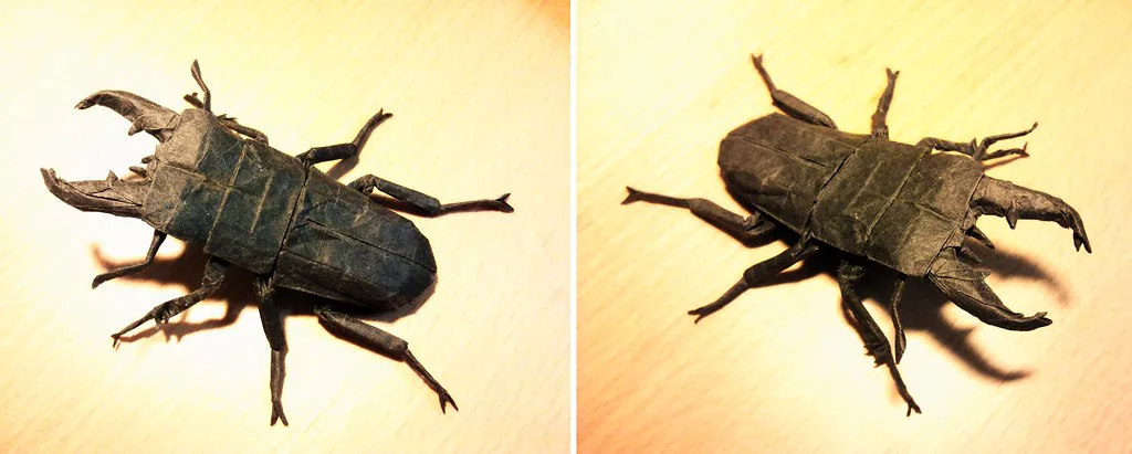 Stag Beetle - Dorcus Titanus
