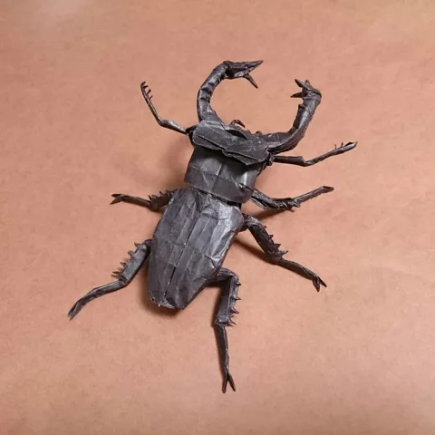 Stag Beetle - Lucanus Cervus Judaicus