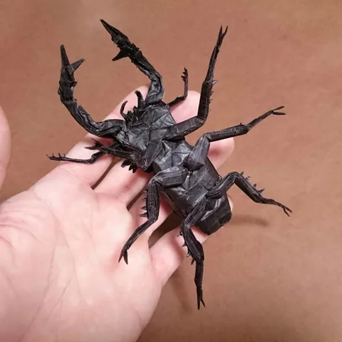 Stag Beetle - Lucanus Cervus Judaicus