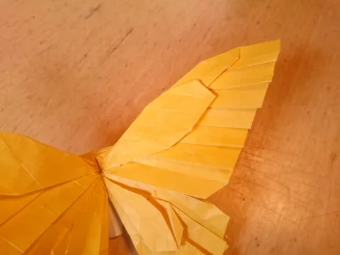 Swallowtail butterfly v4 (PD)