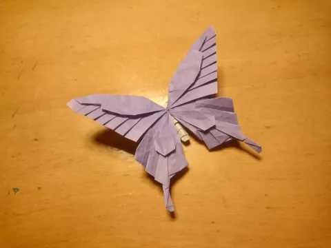 Swallowtail butterfly v5