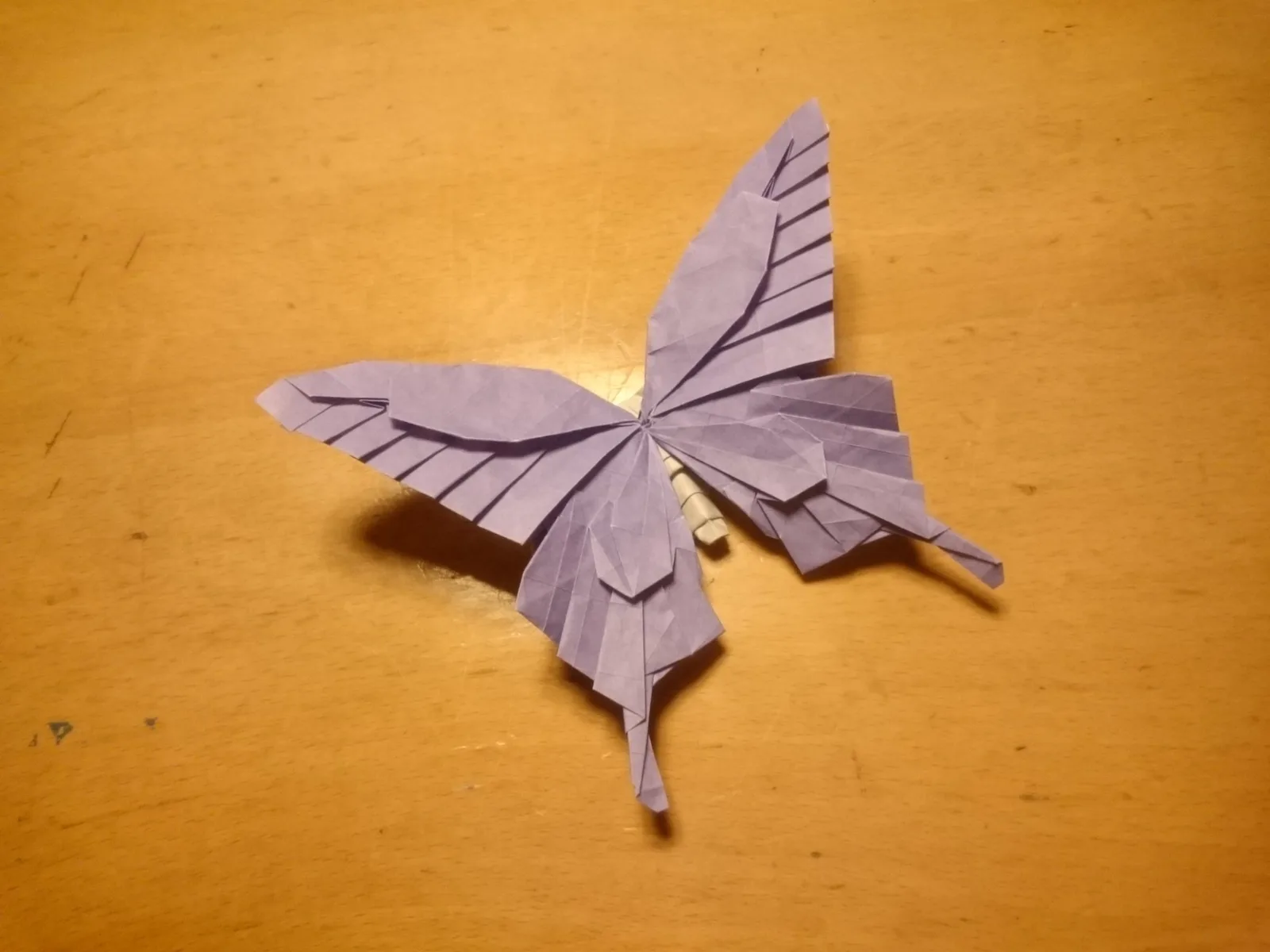 Swallowtail butterfly v5
