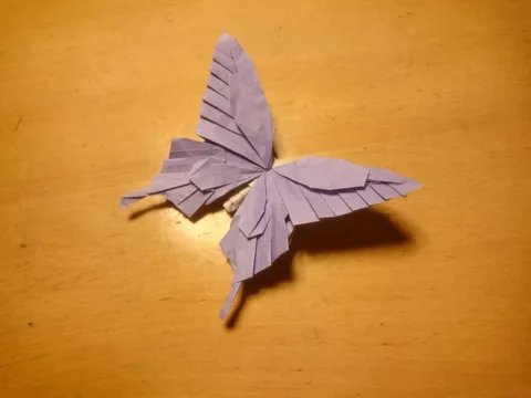 Swallowtail butterfly v5
