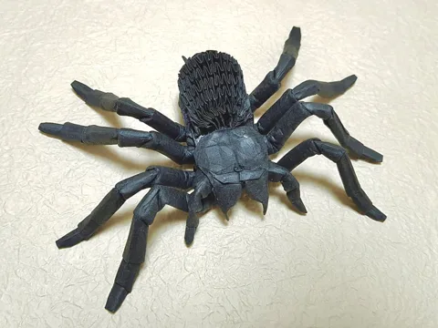 Tarantula