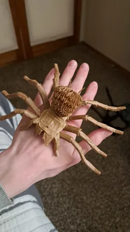 Tarantula