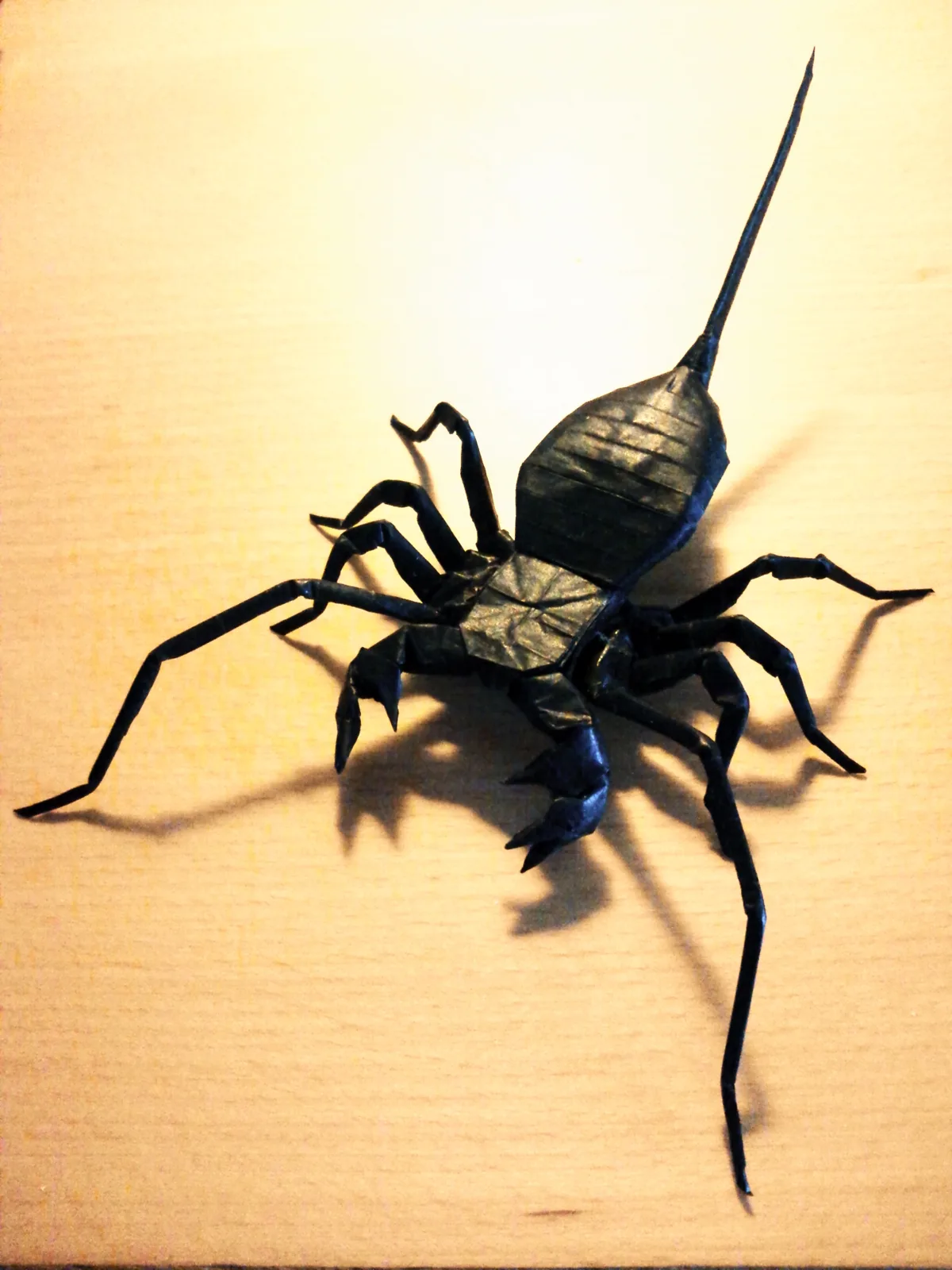 Vinegaroon