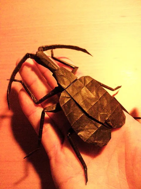 Violin Beetle v1.0