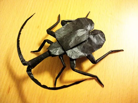 Violin Beetle v1.5