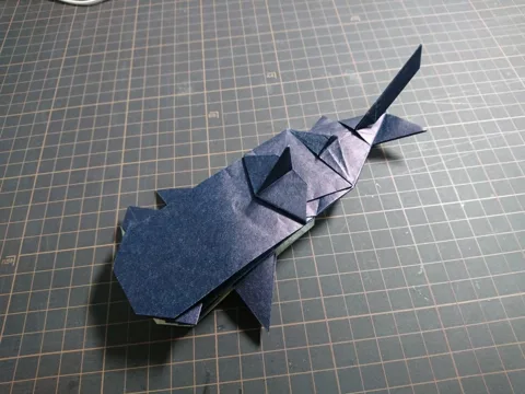 Whale Shark — паттерн