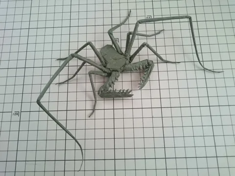 Whip spider (PD) 64x64
