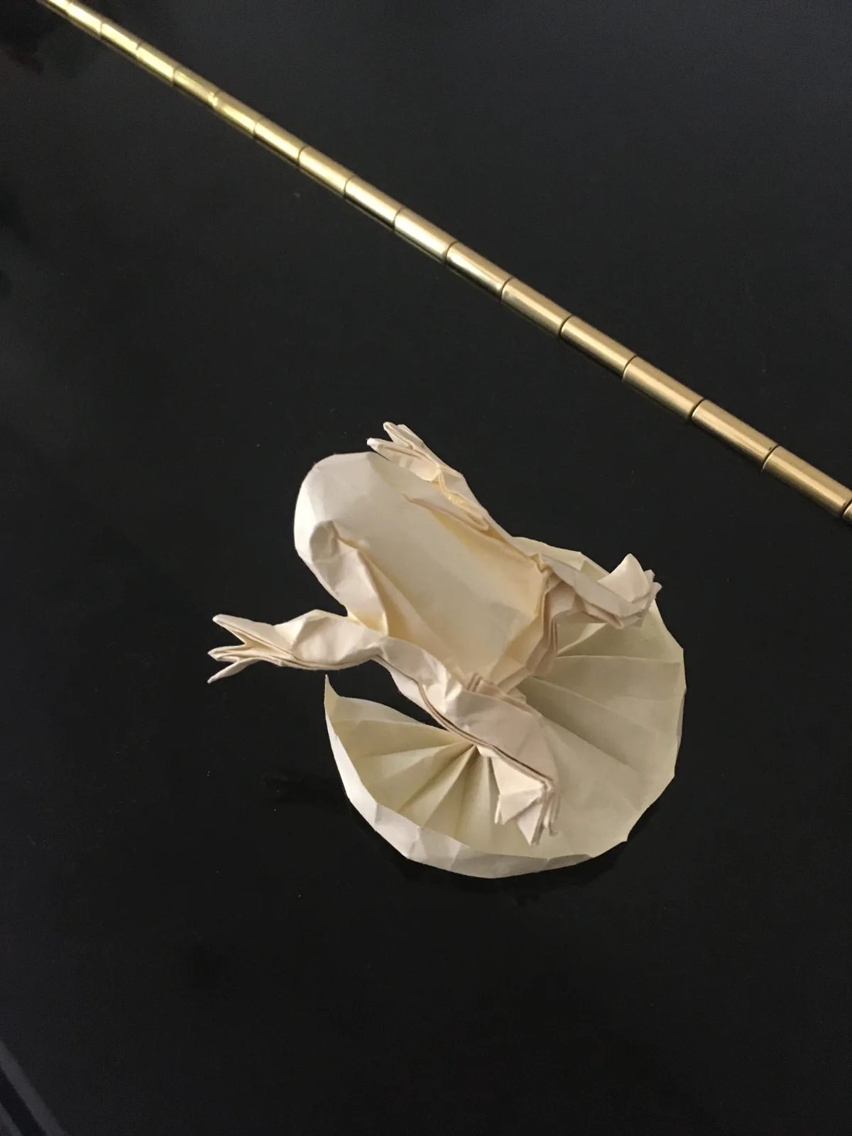 Frog on a lily pad V2
