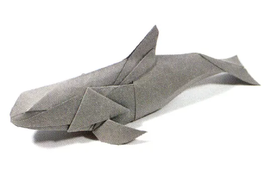 Vaquita