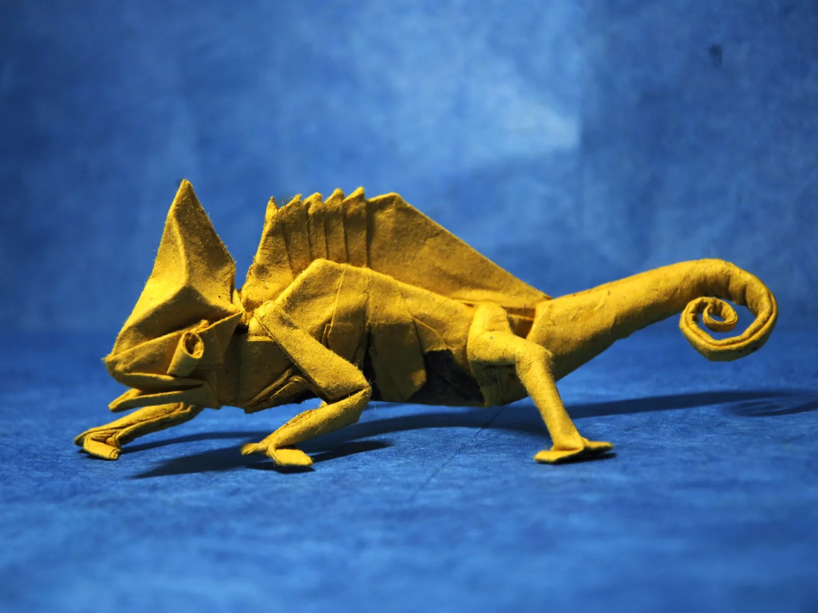 Chameleon