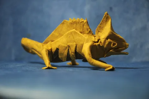 Chameleon