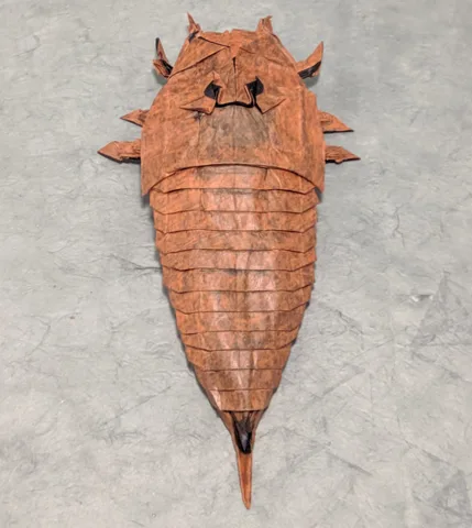 Hibbertopterus scouleri (PD)
