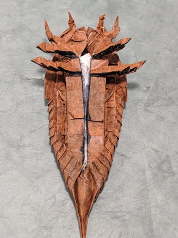 Hibbertopterus scouleri (PD)