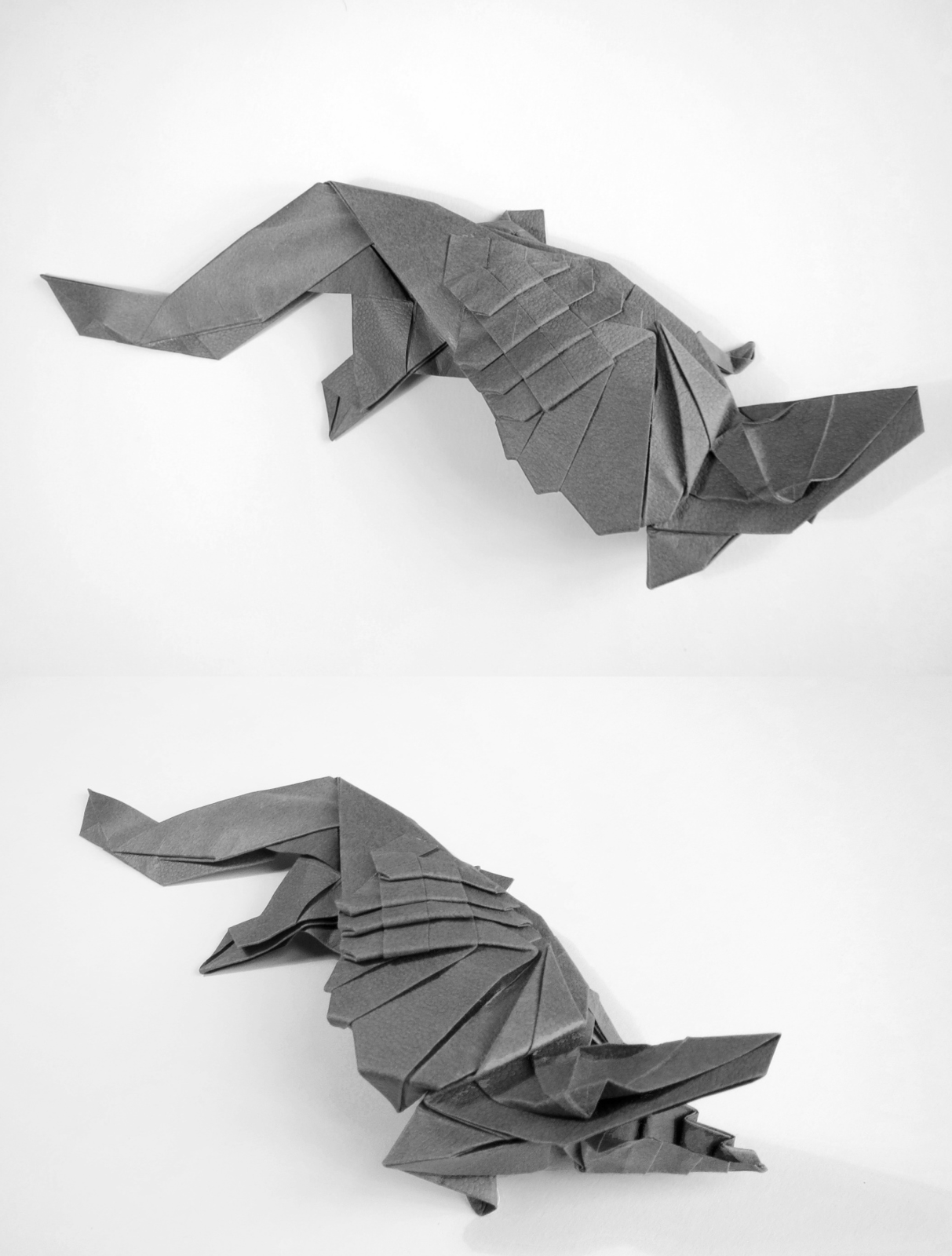 Asymmetric Crocodile
