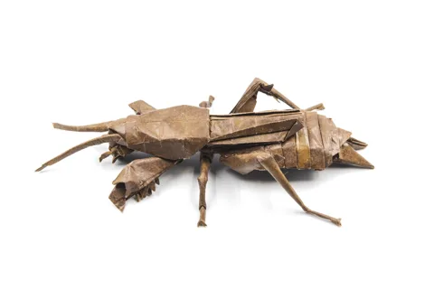 Mole cricket