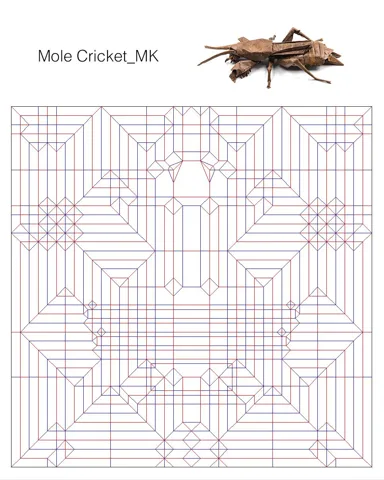 Mole cricket — паттерн
