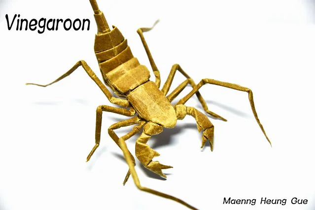 Vinegaroon