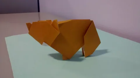 Bear Cub