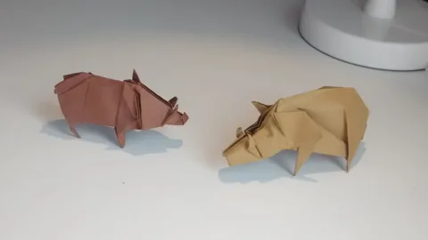 Boar v1