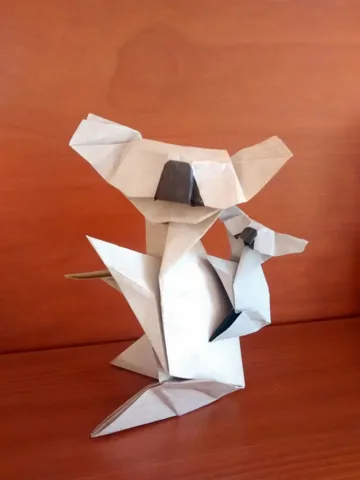 Koala