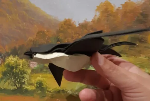 Swallow