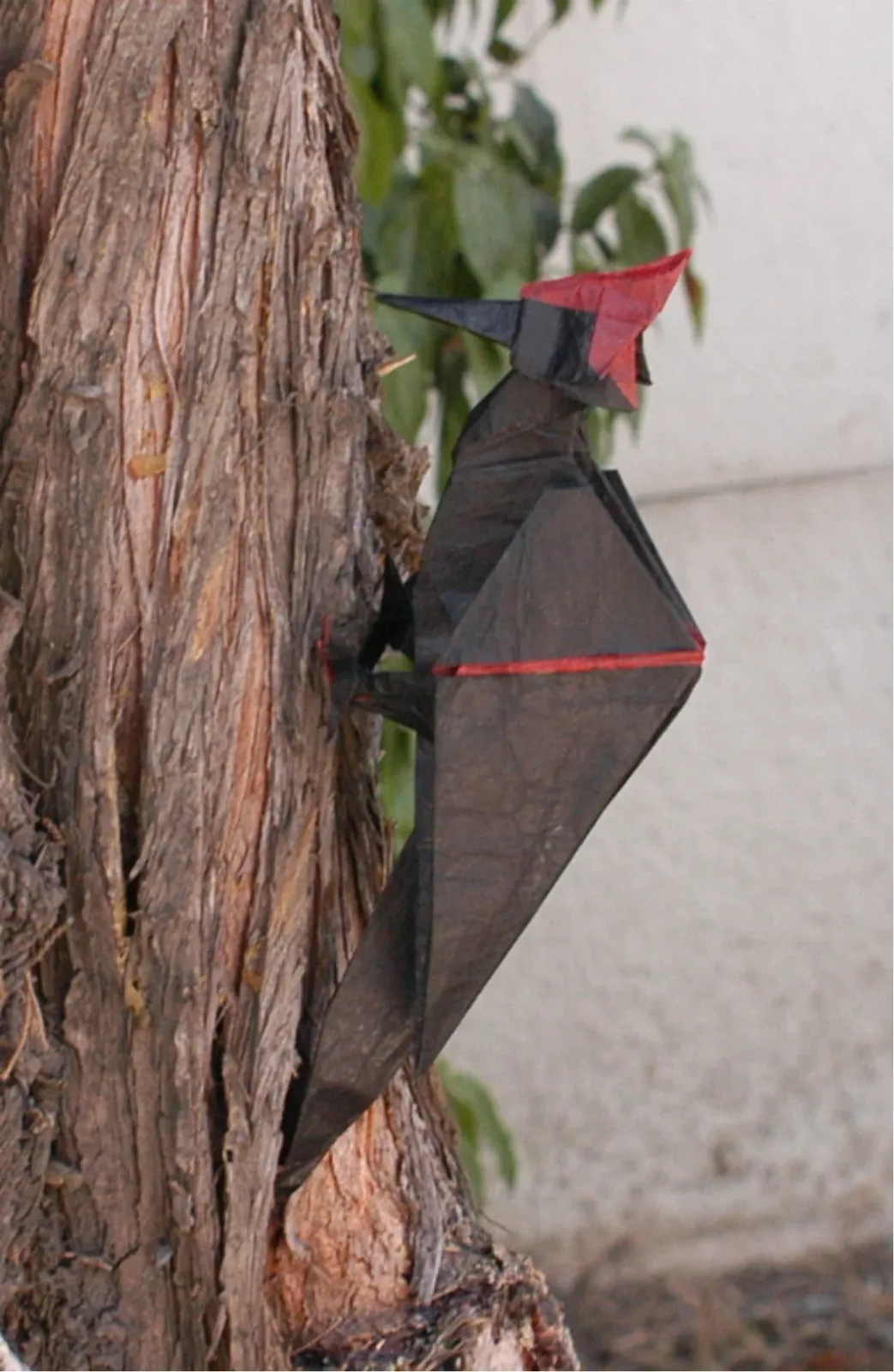 Woodpecker