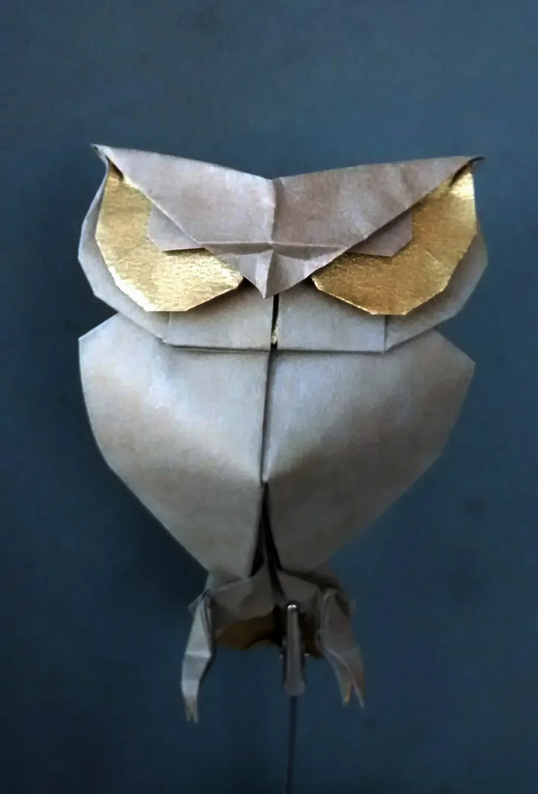 Yahoo Owl