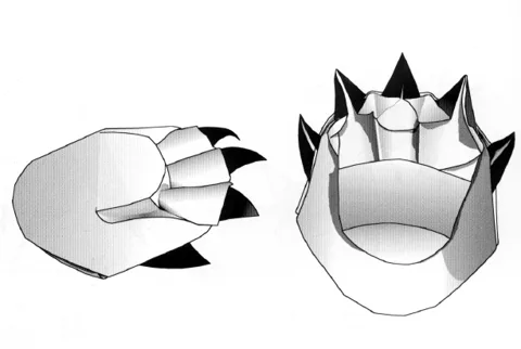 Bear paw