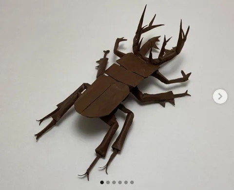 Lucanus bright