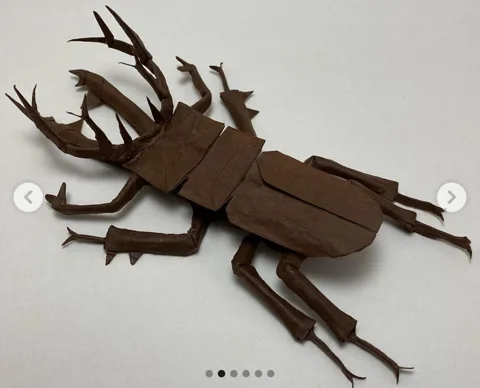 Lucanus bright