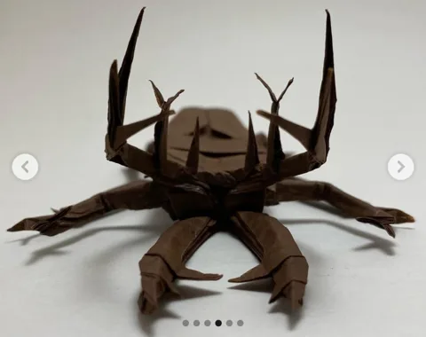 Lucanus bright