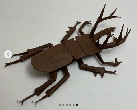 Lucanus bright