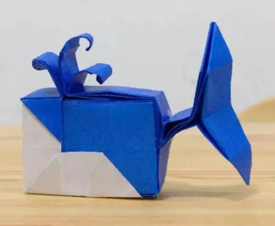 Whale (PD) boxy